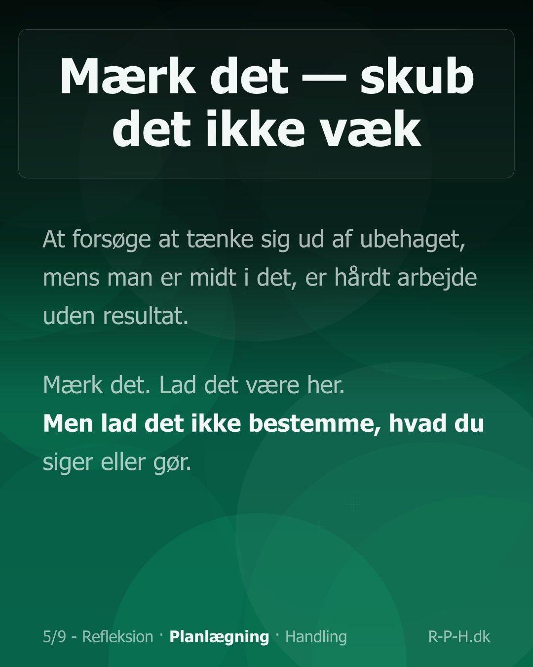 Slide 5
