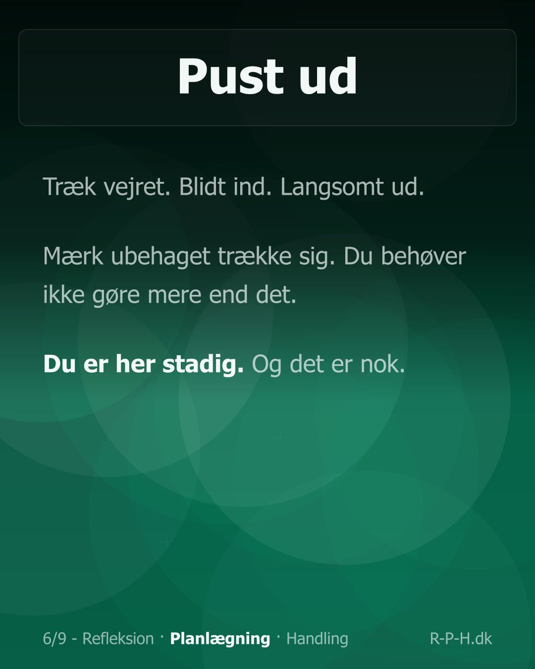 Slide 6